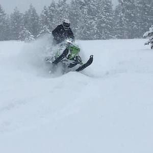 Meet your Posher, Brad